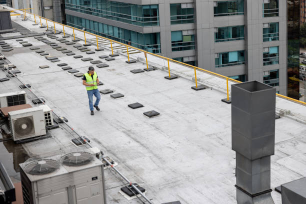 Best Solar Panel Roofing Installation  in Dillingham, AK
